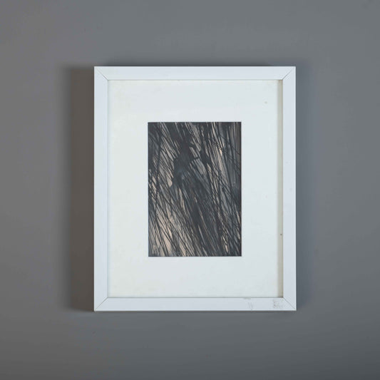 Splinters Of Sabai Grass