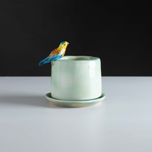 Pakshi Self-Watering Planter