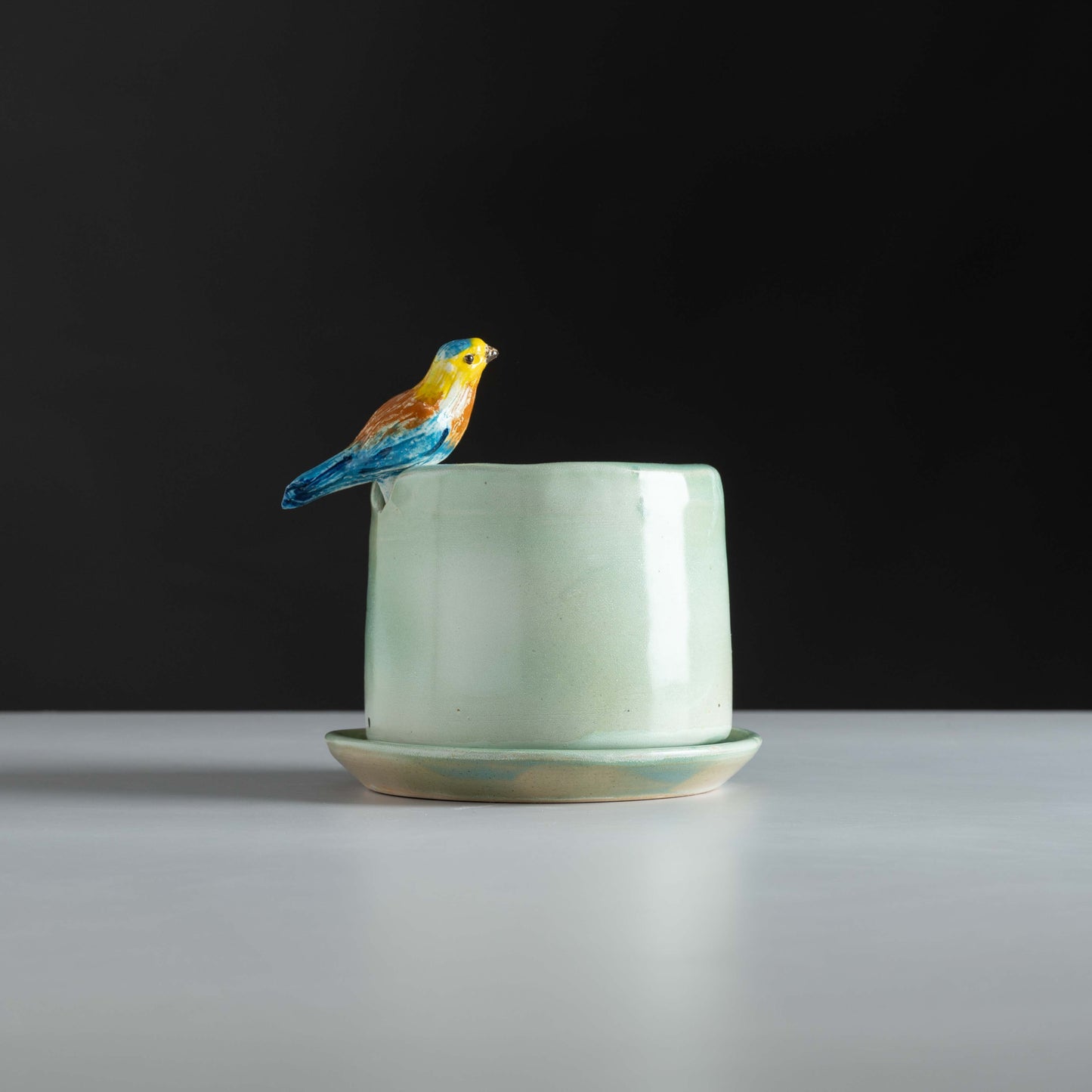Pakshi Self-Watering Planter