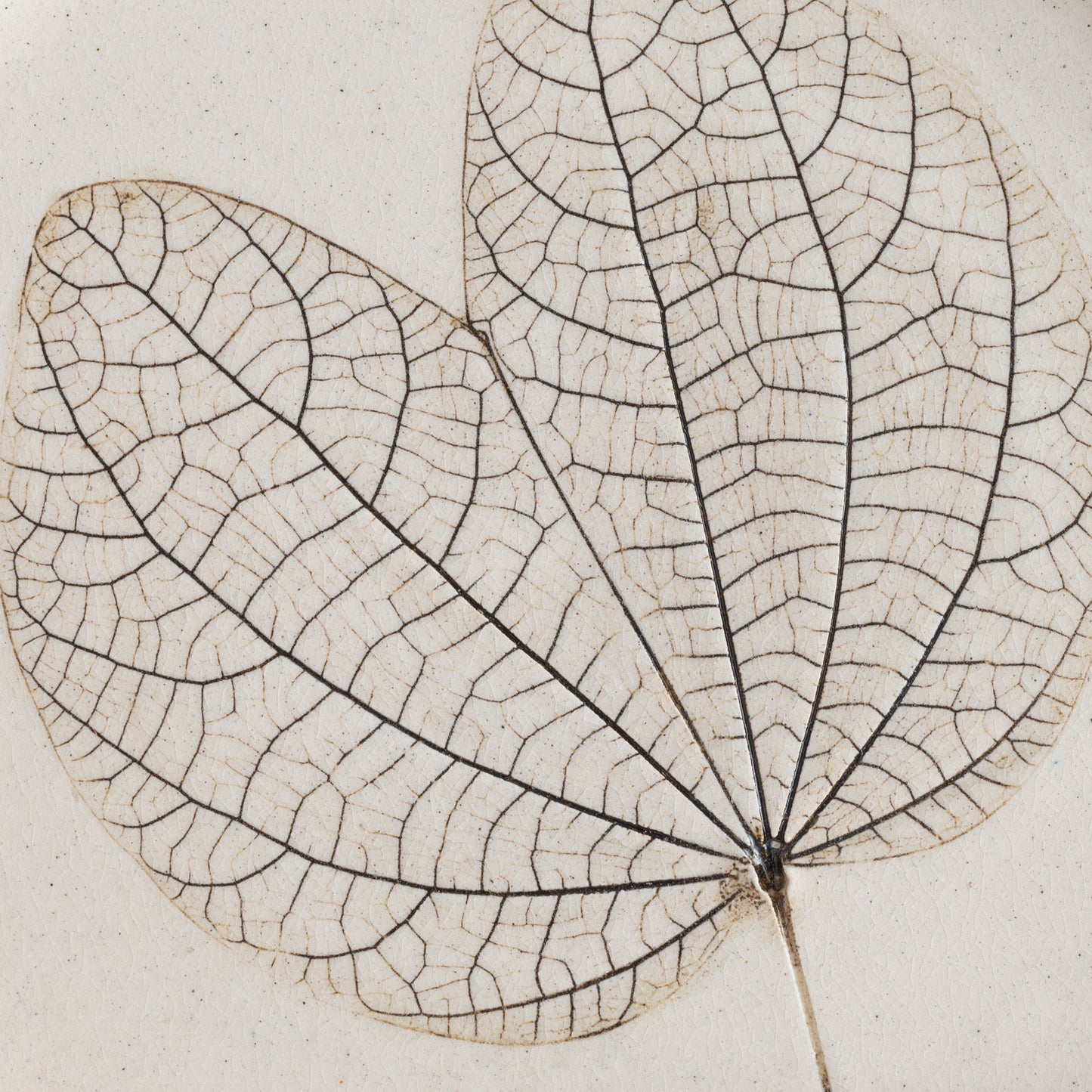 Kanchan Flora Plate