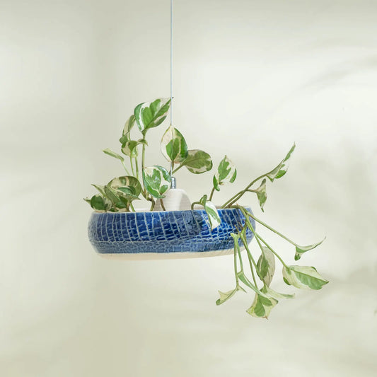 Aakash Vana Hanging Planter