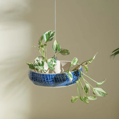 Aakash Vana Hanging Planter
