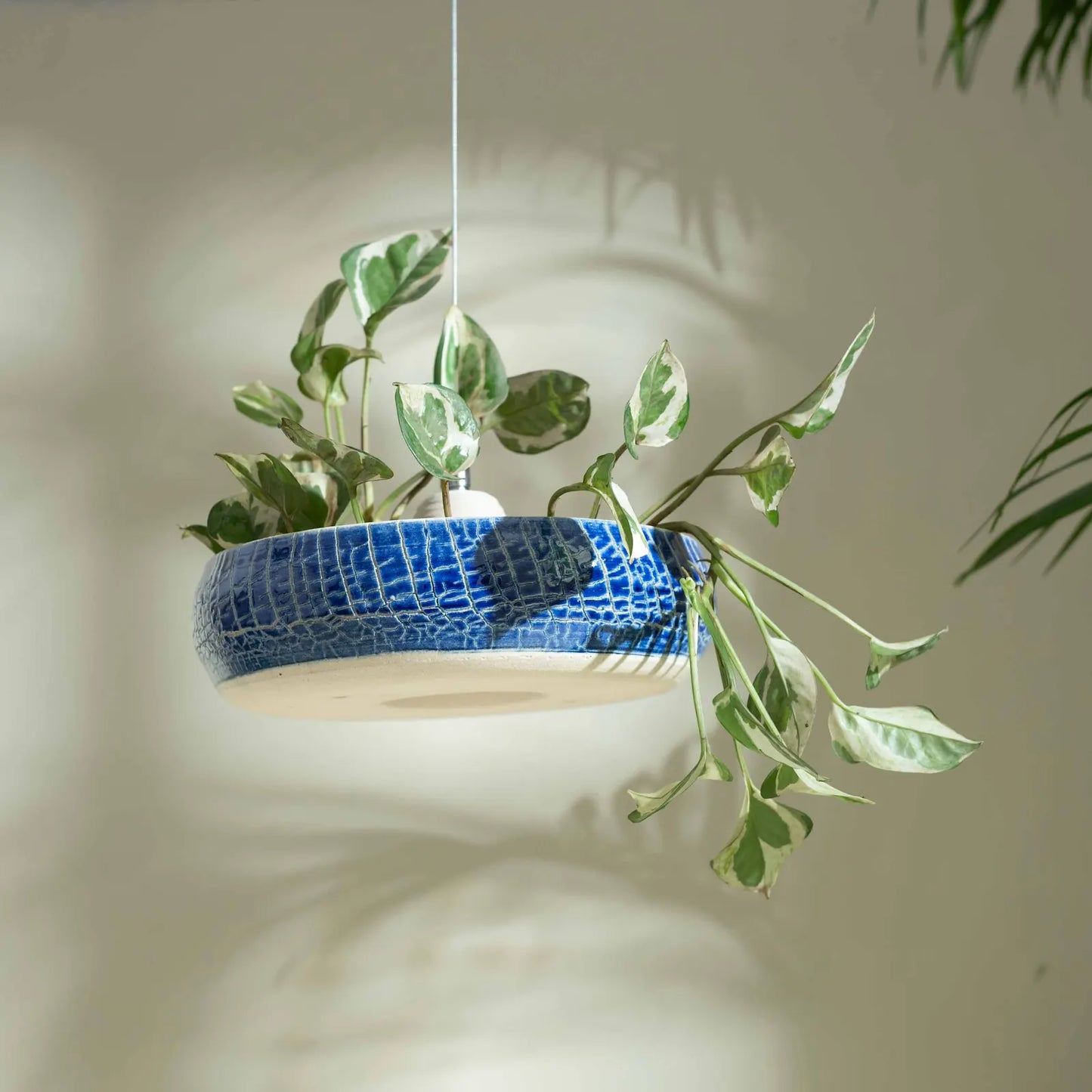 Aakash Vana Hanging Planter