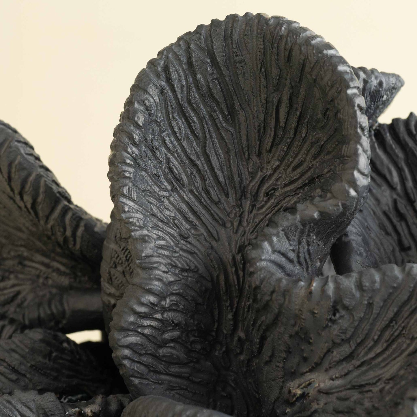 Indīvara Sculptural Vase