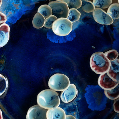 Sarovar Wall Plate Medium