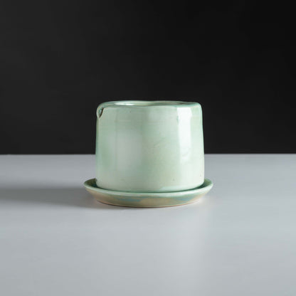 Pakshi Self-Watering Planter