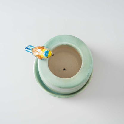 Pakshi Self-Watering Planter