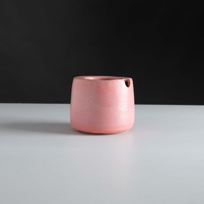 Pakshi Self-Watering Planter