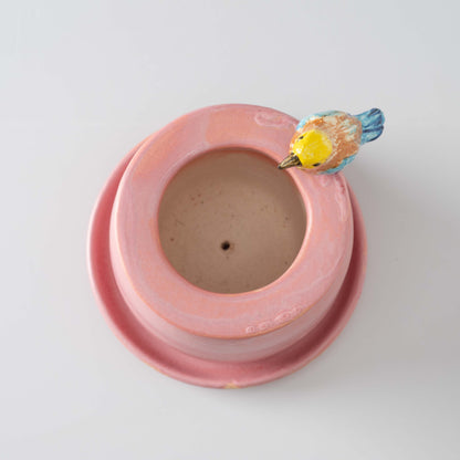 Pakshi Self-Watering Planter