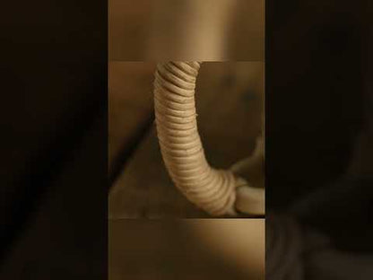 Sarta Beer Mugs With Cane Handle (Set Of 2)