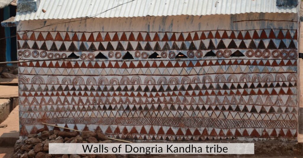 A walls painted by Dongria Kandha tribe