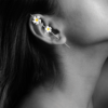 EAR CLIMBER 13