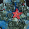 LILY POND 4 1