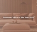 pantone colour of the year